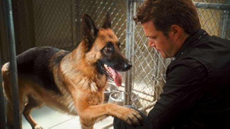 Cats & Dogs: The Revenge of Kitty Galore 2010