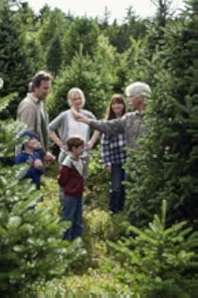 November Christmas 2010