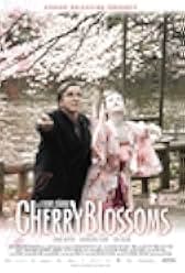 Kirschblüten - Hanami 2008