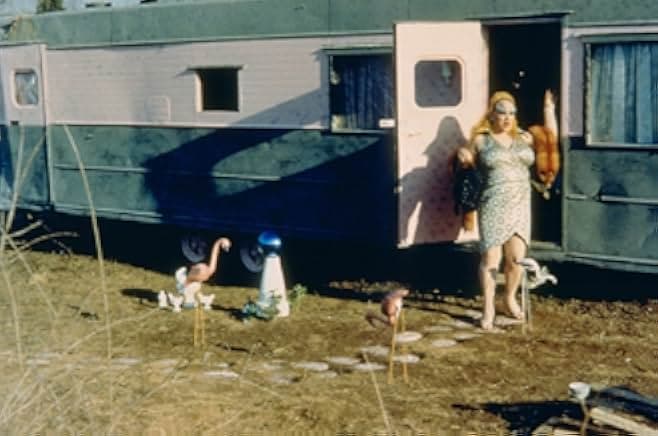 Pink Flamingos 1976