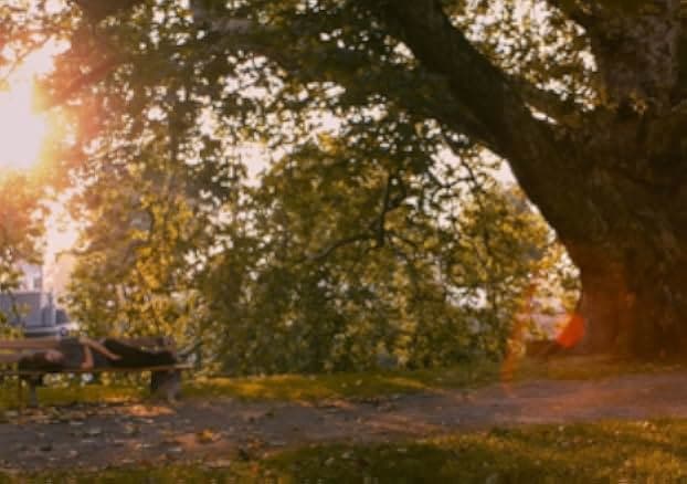 Blue Is the Warmest Colour 2013