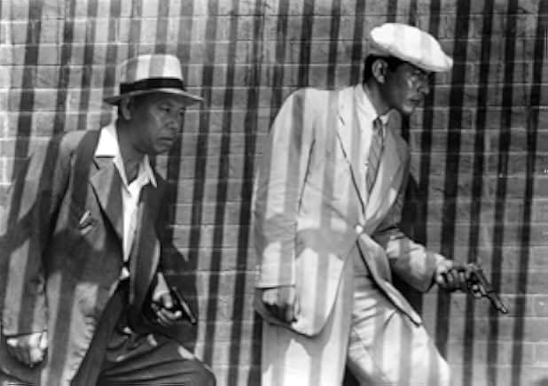 Stray Dog 1949