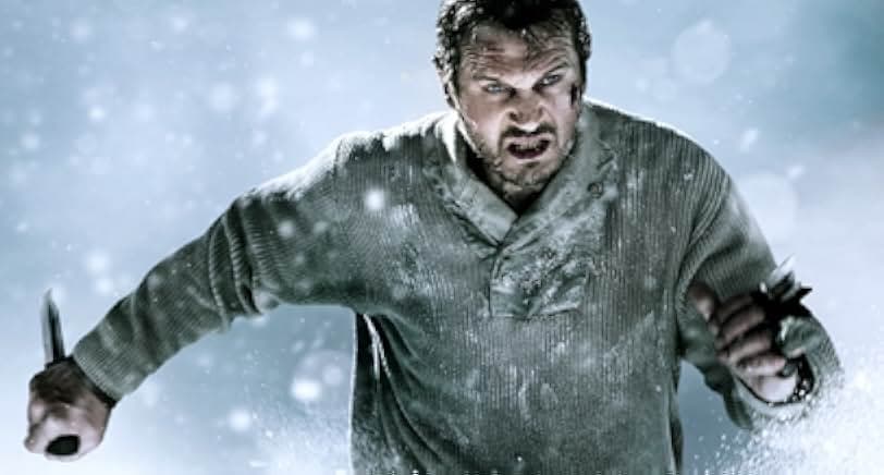 The Grey 2011