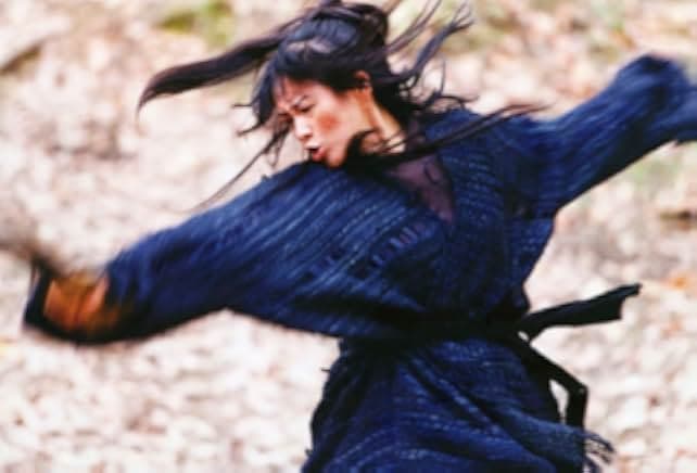 House of Flying Daggers 2004