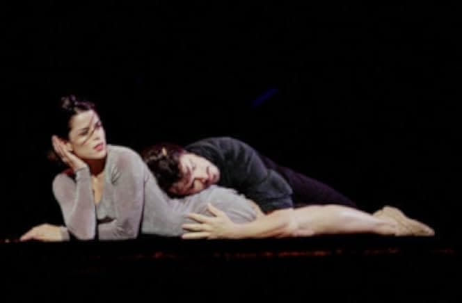 The Company 2003