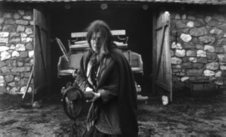 The Turin Horse 2011