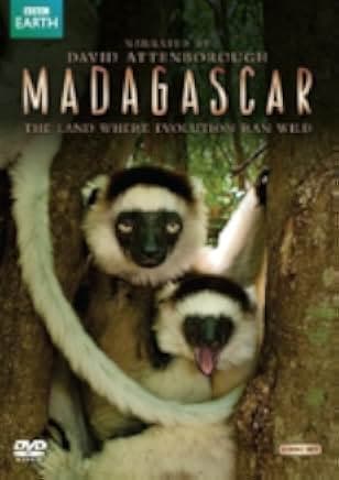 Madagascar 2011