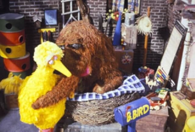 Follow That Bird 1985