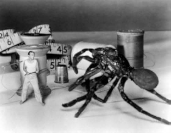 The Incredible Shrinking Man 1957