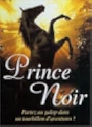 Black Beauty 1994