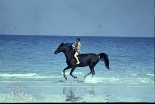 The Black Stallion 1979