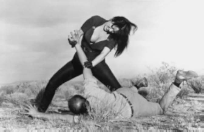 Faster, Pussycat! Kill! Kill! 1965