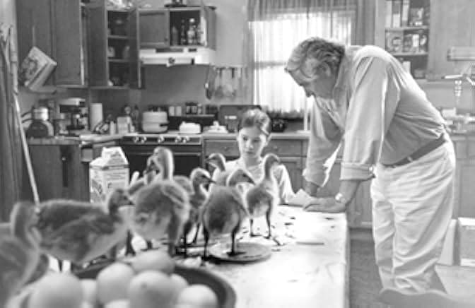 Fly Away Home 1996
