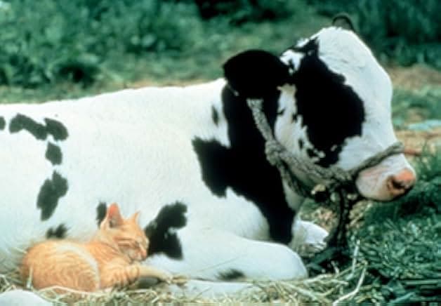 The Adventures of Milo and Otis 1986