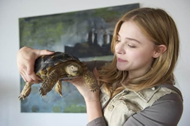 Laggies 2014