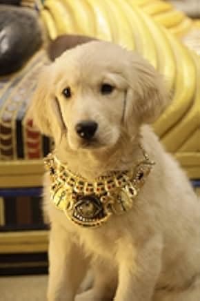 Treasure Buddies 2012