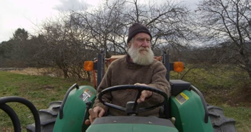 Peter and the Farm 2016