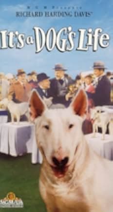 It's a Dog's Life 1955