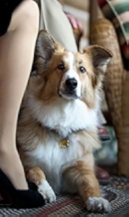 Darling Companion 2012