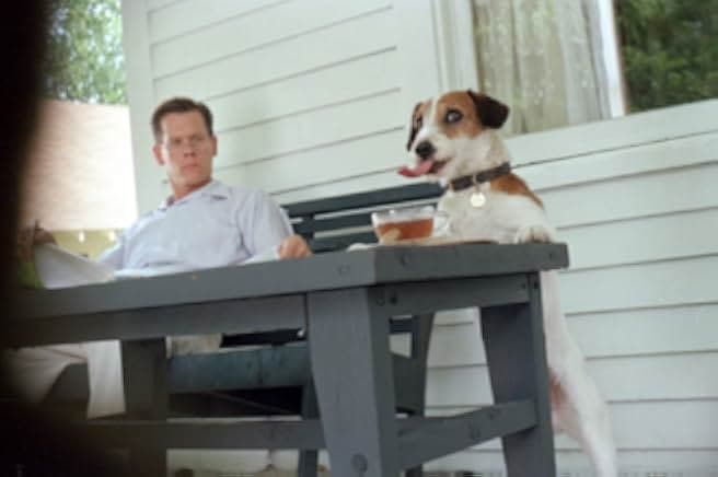 My Dog Skip 2000