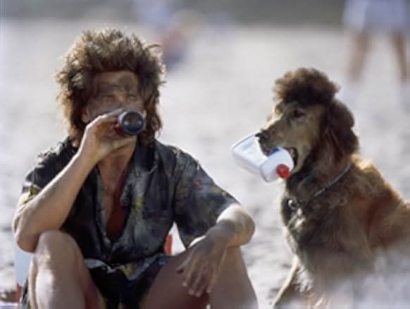 Loaded Weapon 1 1993