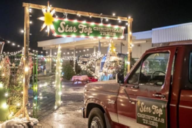 Christmas Under the Stars 2019