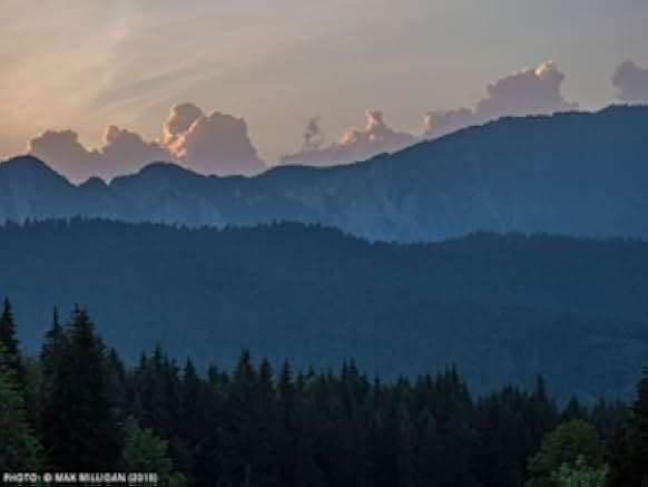 Untamed Romania 2019