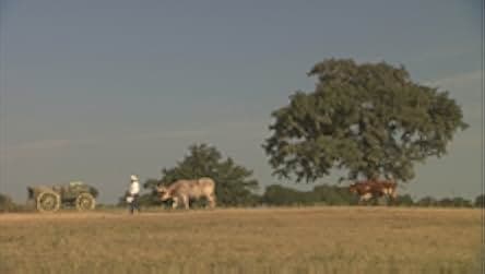 Wild Horse, Wild Ride 2011