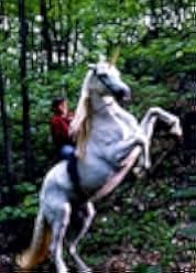 Nico the Unicorn 1998