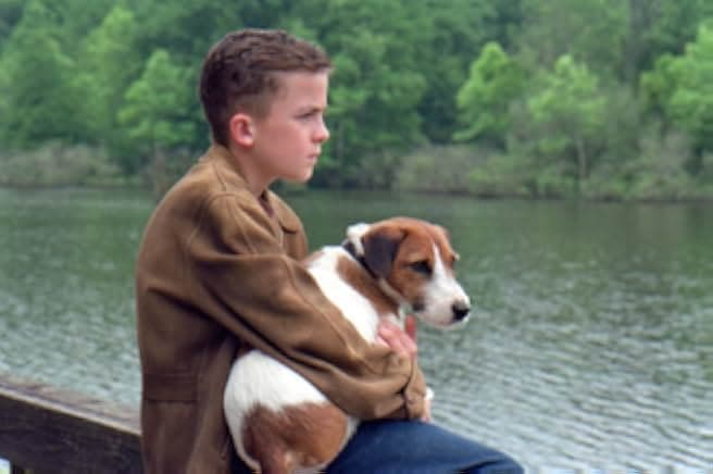 My Dog Skip 2000