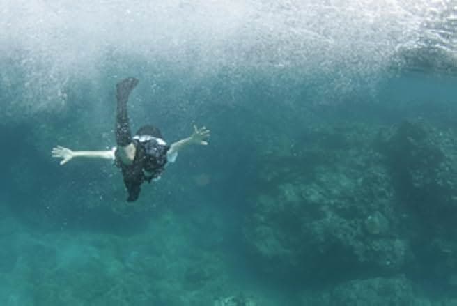 Still the Water 2014