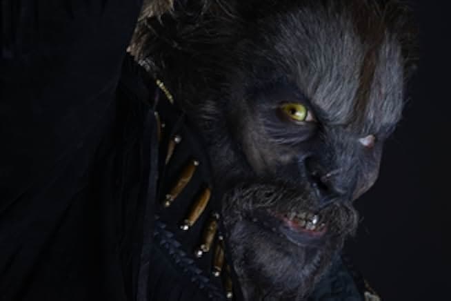 Wolves 2014