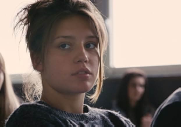 Blue Is the Warmest Colour 2013