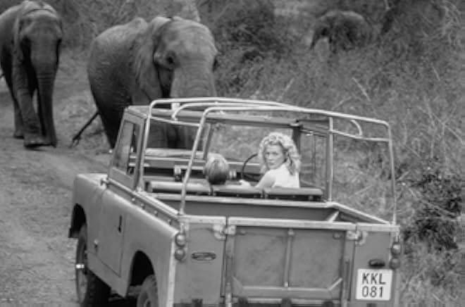 I Dreamed of Africa 2000