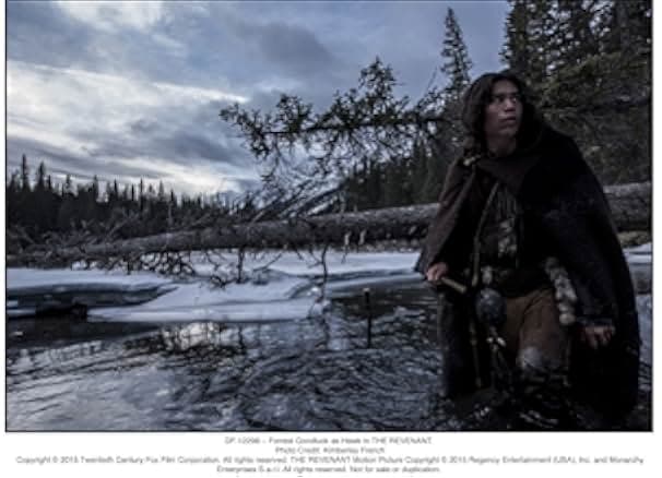 The Revenant 2015