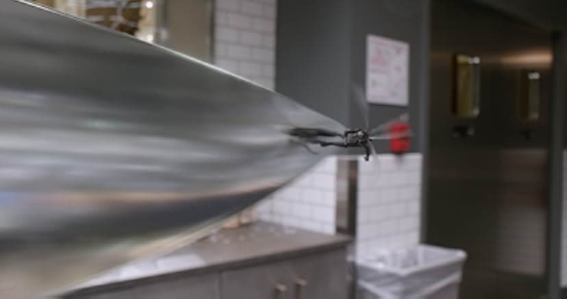 Ant-Man and the Wasp 2018