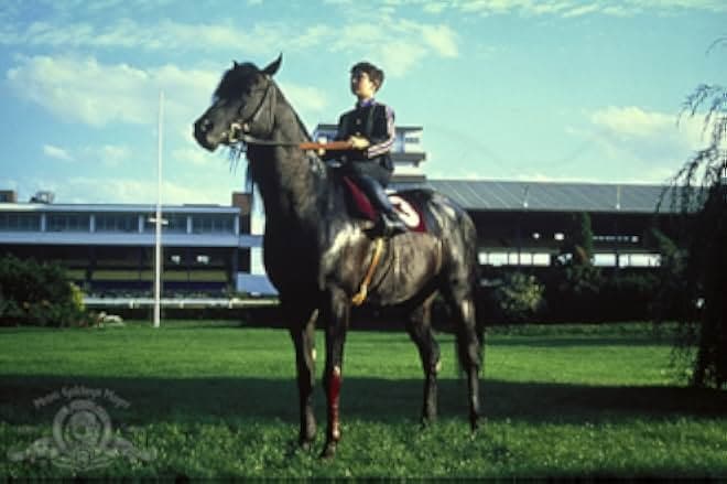 The Black Stallion 1979