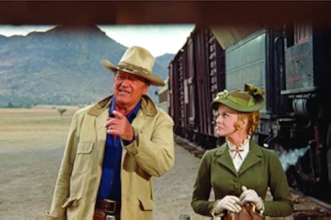 The Train Robbers 1973