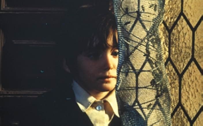 The Spirit of the Beehive 1973
