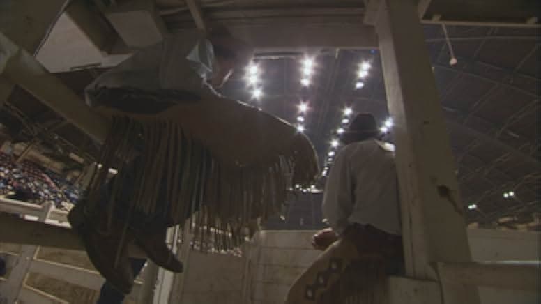 Wild Horse, Wild Ride 2011