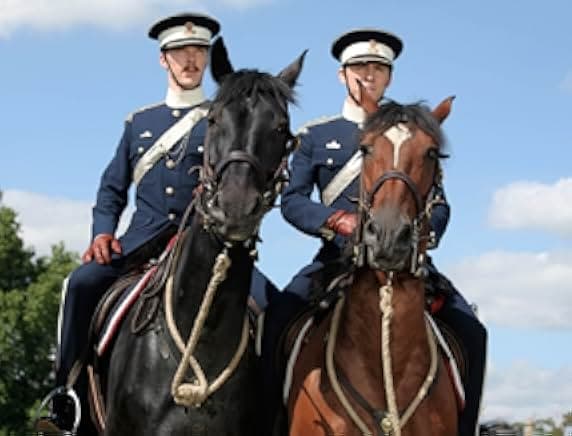 War Horse 2011
