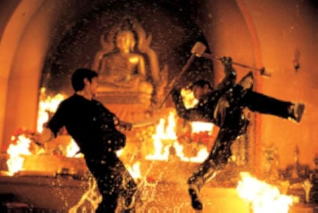 The Protector 2005