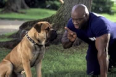 See Spot Run 2001