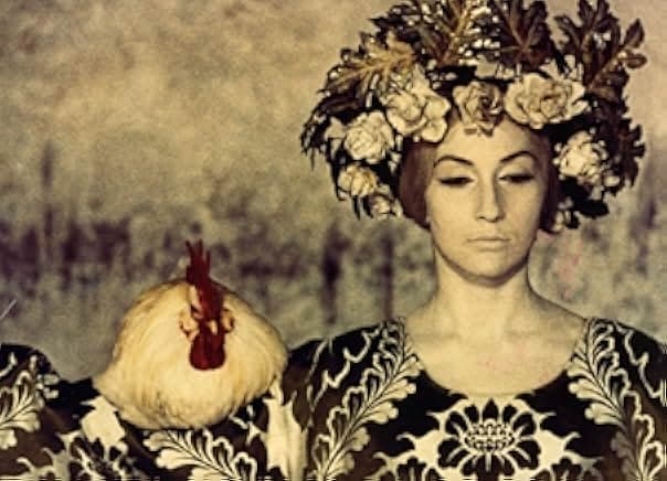 The Color of Pomegranates 1969