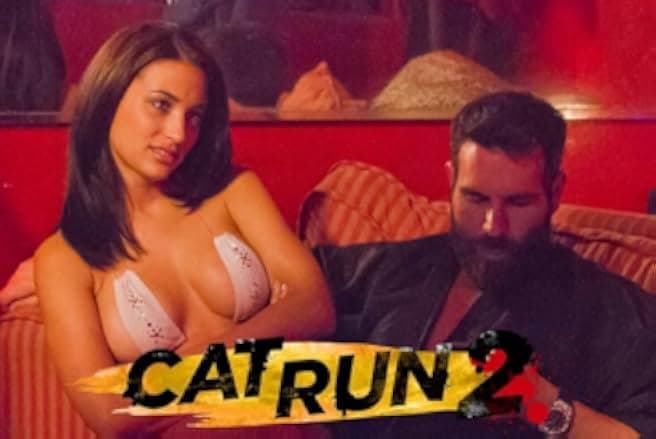 Cat Run 2 2014