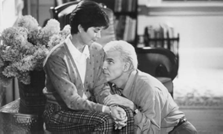 HouseSitter 1992