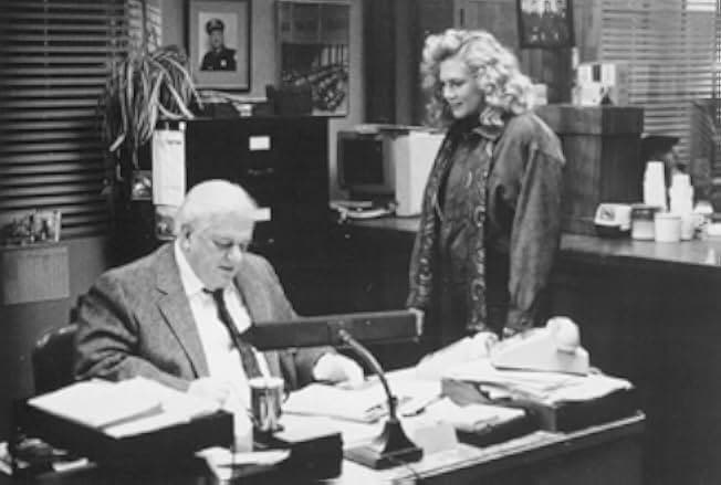 V.I. Warshawski 1991
