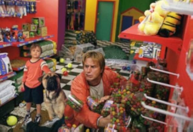 See Spot Run 2001