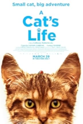 Mon chat et moi, la grande aventure de Rroû 2023