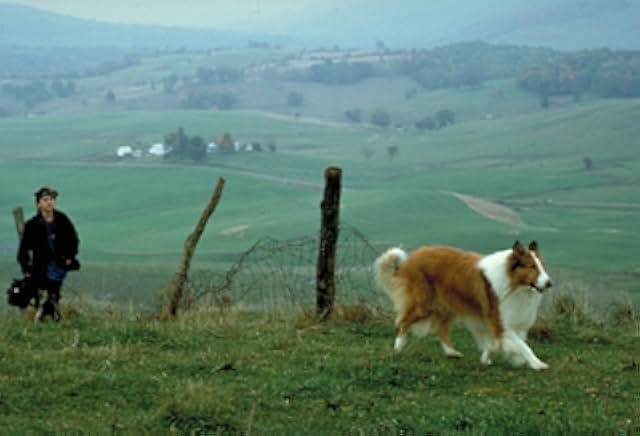 Lassie 1994